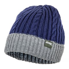 Шапка Jeep Twisted Tricot Hat (O102602-K879), One Size, WHS, 1-2 дні