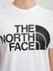 Фотографія Футболка чоловіча The North Face Standard Ls Basic Logo (NF0A4M7XFN41) 4 з 4 | SPORTKINGDOM