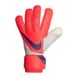 Фотография Перчатки унисекс Nike Goalkeeper Vapor Grip3 (CN5650-635) 2 из 3 | SPORTKINGDOM