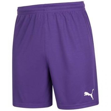 Шорти чоловічі Puma Shorts (740209-03), M, WHS, 10% - 20%, 1-2 дні