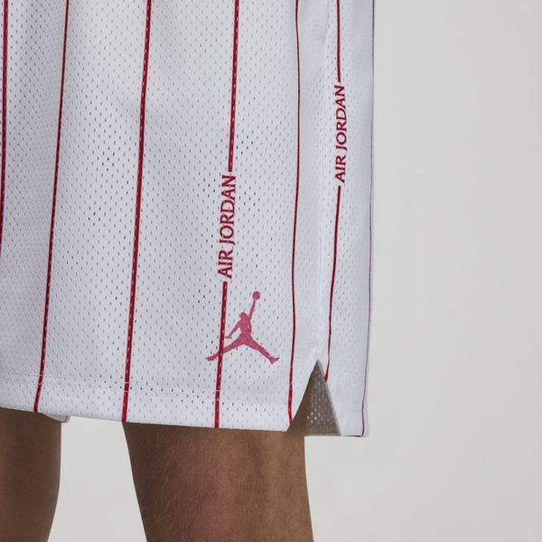 Шорти чоловічі Jordan Essentials Printed Basketball Shorts (DM1357-100), XL, WHS, 10% - 20%, 1-2 дні