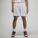 Фотография Шорты мужские Jordan Essentials Printed Basketball Shorts (DM1357-100) 1 из 5 | SPORTKINGDOM