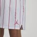 Фотографія Шорти чоловічі Jordan Essentials Printed Basketball Shorts (DM1357-100) 4 з 5 | SPORTKINGDOM