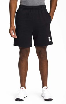 Шорти чоловічі The North Face Box Nse Short (NF0A811YKY4), L, WHS, 1-2 дні