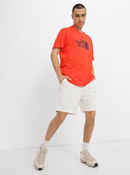 Шорти чоловічі The North Face D2 Graphic Short (NF0A83FRN3N1), S, WHS, 10% - 20%, 1-2 дні