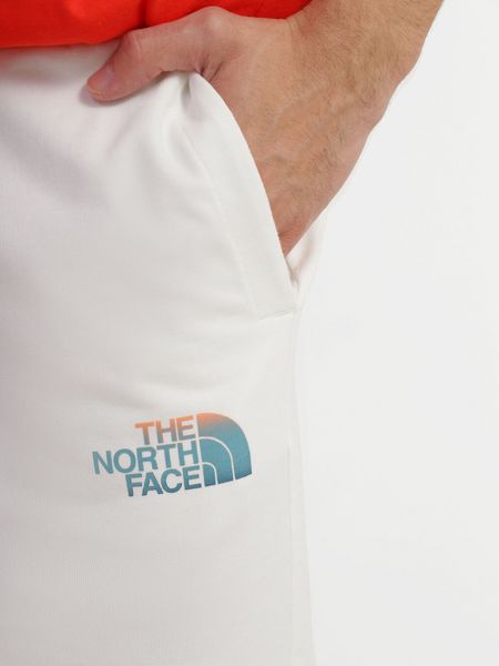 Шорти чоловічі The North Face D2 Graphic Short (NF0A83FRN3N1), S, WHS, 10% - 20%, 1-2 дні