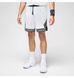 Фотографія Шорти чоловічі Jordan Dri-Fit Sport (DX1487-100) 2 з 8 | SPORTKINGDOM