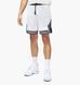 Фотографія Шорти чоловічі Jordan Dri-Fit Sport (DX1487-100) 1 з 8 | SPORTKINGDOM