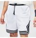 Фотографія Шорти чоловічі Jordan Dri-Fit Sport (DX1487-100) 3 з 8 | SPORTKINGDOM