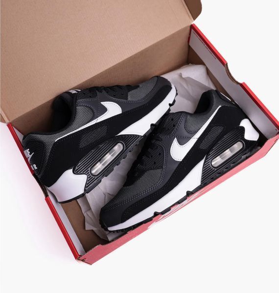 Кросівки чоловічі Nike Air Max 90 (CN8490-002), 41, OFC, 30% - 40%, 1-2 дні