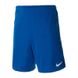 Фотография Шорты мужские Nike M Nk Dry Lge Knit Ii Short Nb (BV6852-463) 1 из 3 | SPORTKINGDOM