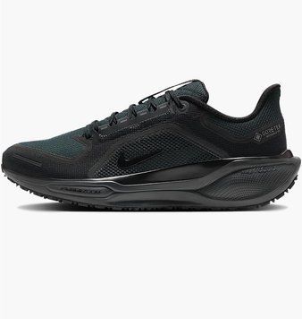 Кроссовки для бега мужские Nike Air Zoom Pegasus 41 Gore-Tex (FQ1356-001), 43, WHS, 40% - 50%, 1-2 дня