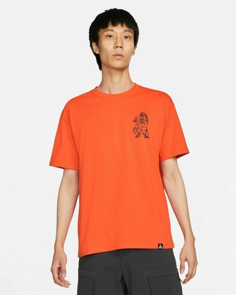 Футболка чоловіча Nike Acg Shirt Trolls (DJ5807-817), L, WHS, 1-2 дні