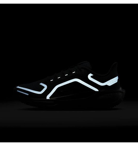 Кросівки для бігу чоловічі Nike Air Zoom Pegasus 41 Gore-Tex (FQ1356-001), 43, WHS, 40% - 50%, 1-2 дні