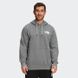 Фотография Кофта мужские The North Face Nse Pullover (NF0A7UNSGVD) 1 из 2 | SPORTKINGDOM