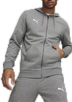 Кофта мужская Puma Team Goal Casuals Hooded (658595-33), L, OFC, 1-2 дня