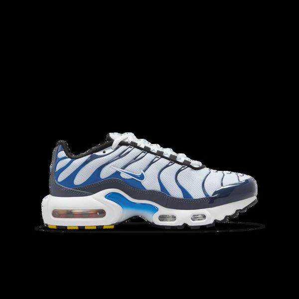 Кроссовки женские Nike Air Max Plus (CD0609-409), 37.5, WHS, 1-2 дня