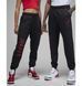 Фотографія Кофта чоловіча Jordan Ess Mmbr Hldy Flc (FD7465-010) 9 з 9 | SPORTKINGDOM