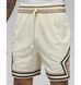 Фотографія Шорти чоловічі Jordan Dri-Fit Sport (DX1487-113) 4 з 8 | SPORTKINGDOM