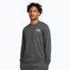 Фотография Кофта мужская Under Armour Rival Terry Lc Crew (1370404-025) 1 из 3 | SPORTKINGDOM