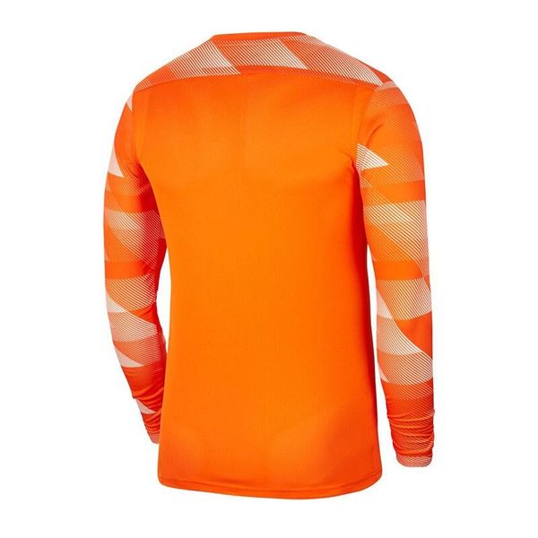 Кофта чоловічі Nike Dry Park Iv Goalkeeper Jersey Long Sleeve (CJ6066-819), L, WHS, 20% - 30%, 1-2 дні