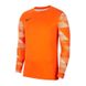 Фотографія Кофта чоловічі Nike Dry Park Iv Goalkeeper Jersey Long Sleeve (CJ6066-819) 1 з 2 | SPORTKINGDOM