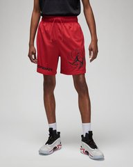 Шорты мужские Jordan Dri-Fit Sport Bc Mesh Shorts (DZ0569-687), L, WHS, > 50%, 1-2 дня