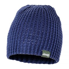 Шапка Jeep Reversible Tricot Hat (O102597-K876), One Size, WHS, 1-2 дні