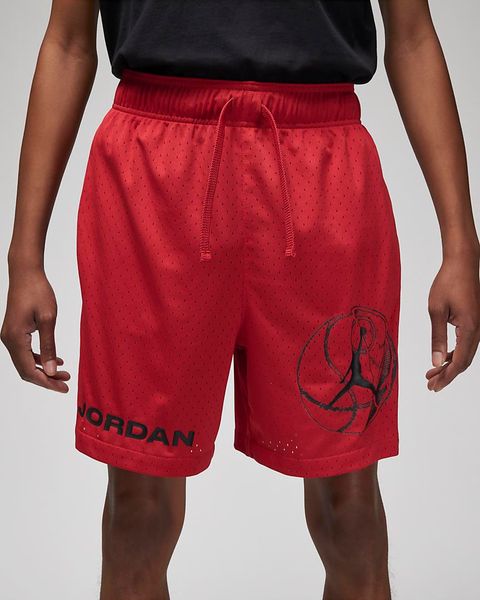 Шорти чоловічі Jordan Dri-Fit Sport Bc Mesh Shorts (DZ0569-687), L, WHS, 20% - 30%, 1-2 дні