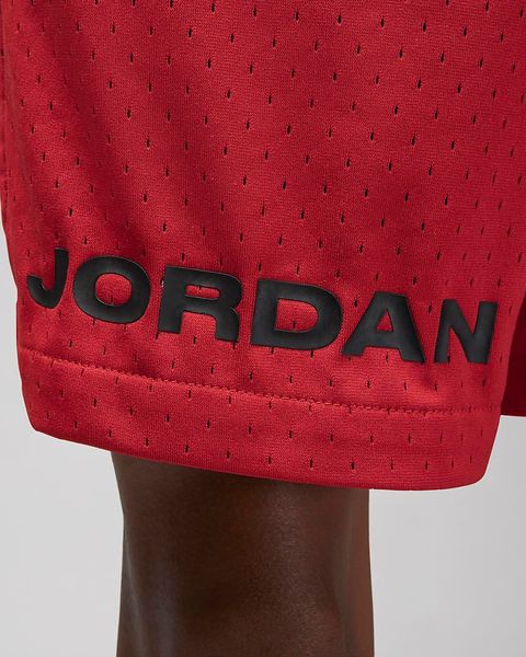 Шорты мужские Jordan Dri-Fit Sport Bc Mesh Shorts (DZ0569-687), 2XL, WHS, > 50%, 1-2 дня