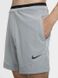 Фотография Шорты мужские Nike Np Flex Rep Short 2.0 Npc (CU4991-073) 3 из 3 | SPORTKINGDOM