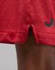 Фотография Шорты мужские Jordan Dri-Fit Sport Bc Mesh Shorts (DZ0569-687) 8 из 9 | SPORTKINGDOM