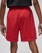 Фотография Шорты мужские Jordan Dri-Fit Sport Bc Mesh Shorts (DZ0569-687) 3 из 9 | SPORTKINGDOM
