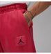 Фотография Брюки мужские Nike M J Ess Stmt Wash Flc (FB7298-619) 5 из 7 | SPORTKINGDOM