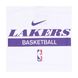 Фотографія Майка чоловіча Jordan T-Shirt Dri-Fit Nba Los Angeles Lakers (DR6770-100) 2 з 2 | SPORTKINGDOM