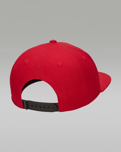 Кепка Jordan Pro (FD5184-687), M/L, OFC, < 10%, 1-2 дні
