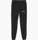 Фотографія Брюки чоловічі Puma Teamgoal Casuals Black (658598-03) 1 з 3 | SPORTKINGDOM