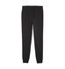 Фотографія Брюки чоловічі Puma Teamgoal Casuals Black (658598-03) 3 з 3 | SPORTKINGDOM