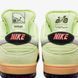 Фотографія Кросівки унісекс Nike Sb Dunk Low (HQ1626-300) 9 з 9 | SPORTKINGDOM