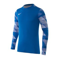 Футболка мужская Nike Dry Park Iv Goalkeeper Jersey Long Sleeve (CJ6066-463), L, WHS, 20% - 30%, 1-2 дня