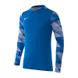 Фотография Футболка мужская Nike Dry Park Iv Goalkeeper Jersey Long Sleeve (CJ6066-463) 1 из 4 | SPORTKINGDOM