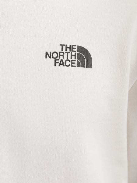 Кофта мужские The North Face D2 Graphic Hoodi (NF0A83FON3N1), L, WHS, 10% - 20%, 1-2 дня