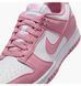 Фотографія Кросівки жіночі Nike Dunk Low Next Nature (DD1873-112) 7 з 8 | SPORTKINGDOM