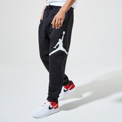 Брюки мужские Jordan Jumpman Logo Flc Pant (BQ8646-010), L, WHS, 10% - 20%, 1-2 дня