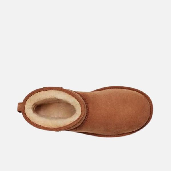 Ботинки женские Ugg Classic Clear Mini (1016222-CHE), 37, WHS, 1-2 дня