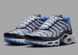 Фотография Кроссовки мужские Nike Air Max Plus Se (DQ3981-001) 1 из 8 | SPORTKINGDOM