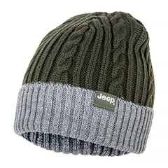 Шапка Jeep Twisted Tricot Hat (O102602-E856), One Size, WHS, 1-2 дні
