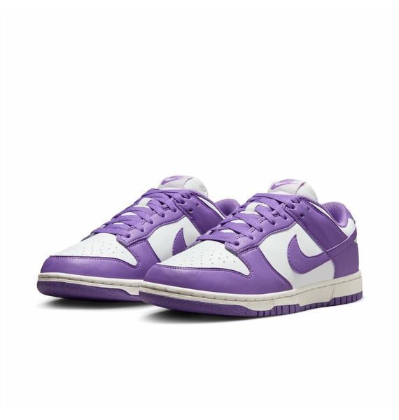 Кросівки жіночі Nike Dunk Low Next Nature (DD1873-108), 39, OFC, < 10%, 1-2 дні