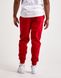 Фотография Брюки мужские Nike M J Df Sprt Csvr Flc Pant (DQ7332-687) 2 из 2 | SPORTKINGDOM