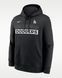 Фотографія Кофта чоловіча Nike Los Angeles Dodgers Club (NKDK00ALD-2VW) 1 з 2 | SPORTKINGDOM